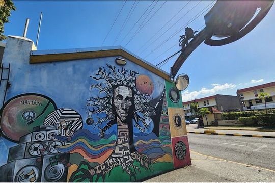 Private Musical Tour at Bob Marley Studios in Kingston