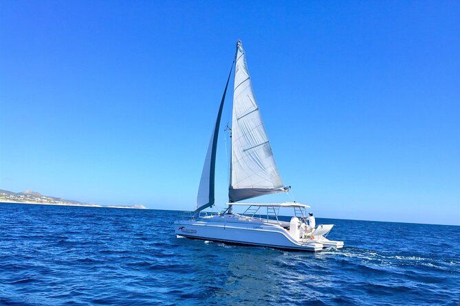 Snorkel Adventure through the Sea of Cortez