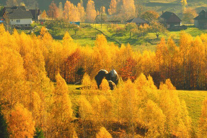 Small-Group Mountain Villages Walk & Local Lunch from Brasov