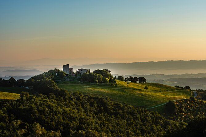 Wine Experience at Torre Bisenzio Winery