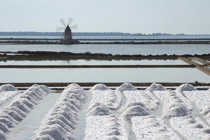 Afternoon Saline Tour