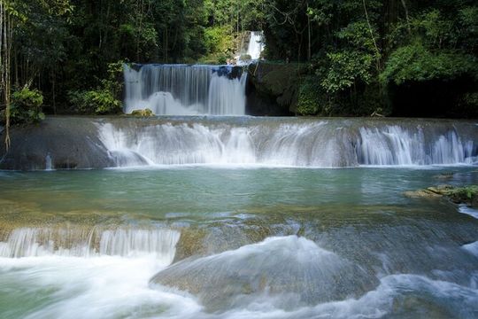 Private YS Falls and Black River Safari from Negril