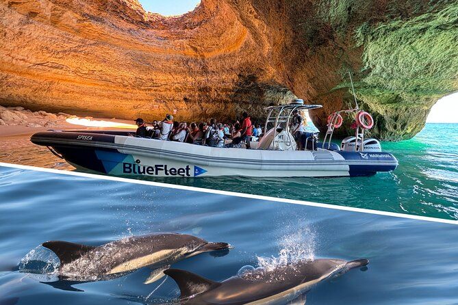Benagil and Dolphin Watching Boat Tour with Marine Biologists