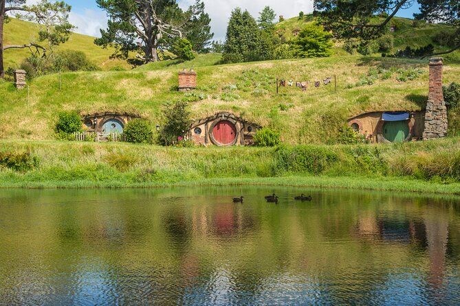 Private Tour Tauranga Magical Hobbiton Movie Set