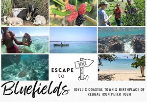 The Bluefields Experience: Organic Farm, Beach & Coral Reef
