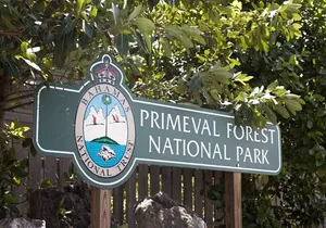 Guided Primeval Nature Walk Tour in Primeval Forest National Park
