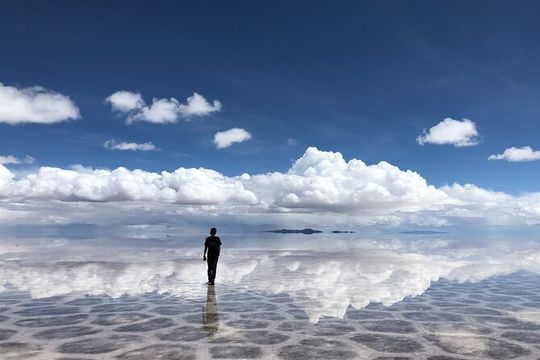 Yellowstone & Grand Teton National Parks: Small Group 4-Day Tour