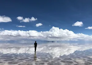 Yellowstone & Grand Teton National Parks: Small Group 4-Day Tour