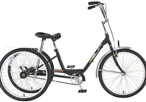 NYC Adult Tricycle Rental