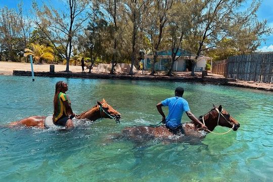 Horseback Ride and Swim Private Tour In Montego Bay