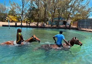 Horseback Ride and Swim Private Tour In Montego Bay