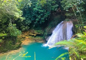 Combo Tour Dunn's River Falls and BlueTour from falmouth