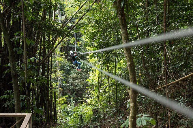 Treetop Canopy Adventure
