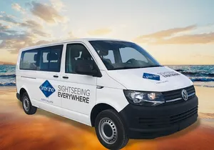 Puerto Vallarta Private Minivan Roundtrip Transportation