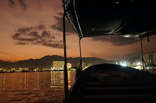 private whale watching at sunset