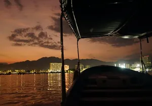 private whale watching at sunset