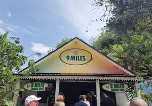 Half Day Trip to Bob Marley Museum in Nine Mile