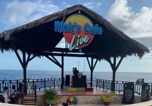7 Mile Beach and Rick's Cafe in Negril from Montego Bay Private Tour