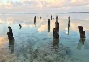 Cancun to Playa del Carmen - Private Transfer with Optional Sightseeing