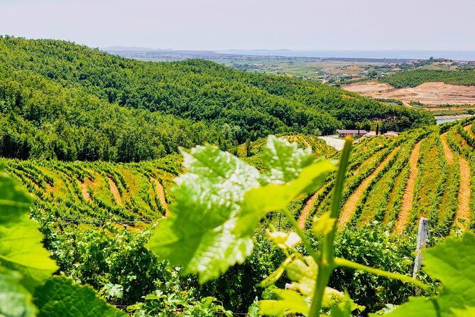 Durres Vineyards,Wine Tasting & Boat Lake Experience