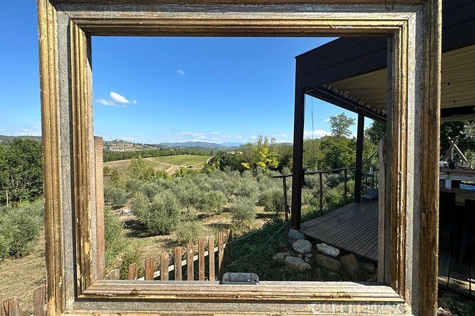 Evo Oil Tasting School, olive grove walk and lunch