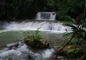 YS Falls and Floyds Pelican Bar
