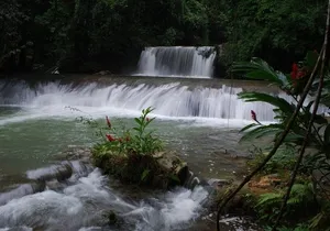 YS Falls and Floyds Pelican Bar