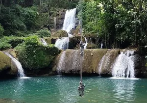 Ys Falls, Black River Safari and Appleton Estate Private Tour