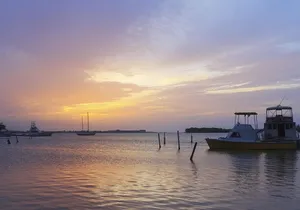 Luminous Lagoon After Dark Tour