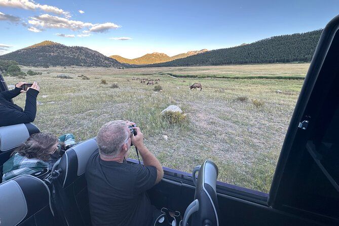 A Rutin' Good Time; Elk Tour in Rocky Mountain National Park