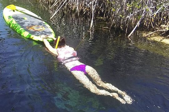 Paddleboard Cenote Tour