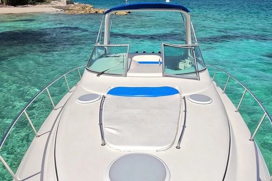 Half Day Private Luxury Rose Island Tour with Snorkeling and Pigs