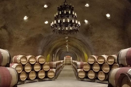 6-Hour Private Wine Tasting Tour with a Sample Stops