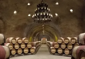 6-Hour Private Wine Tasting Tour with a Sample Stops