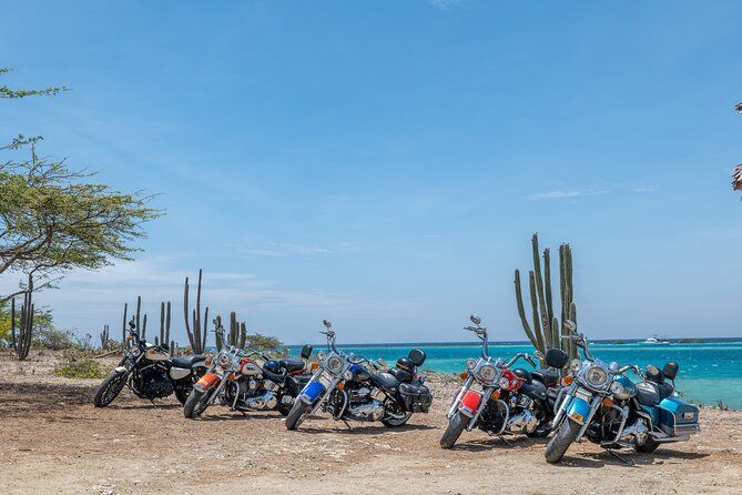 Harley-Davidson RENTALS ONLY 4 hrs