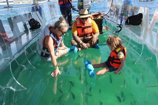 Transparent Boat Ride to Los Cabos Arch