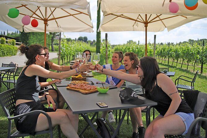 Wine and Food Tasting in the Vineyards in Lazise
