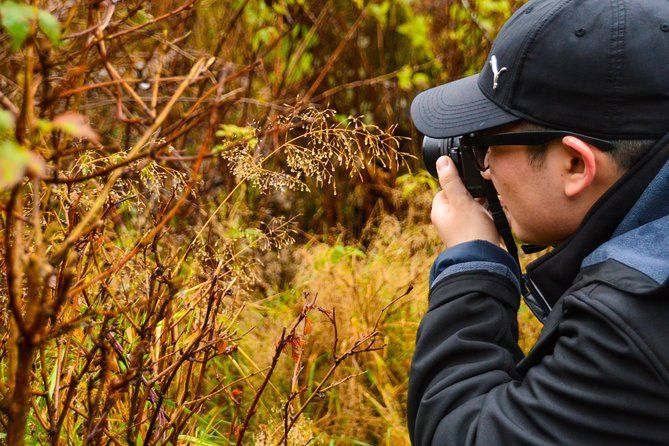 Photography, Hiking & Ferry to Bowen Island