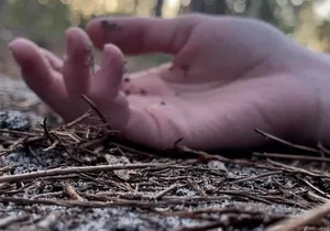 Torrid Tales True Crime Walking Tour of St Augustine