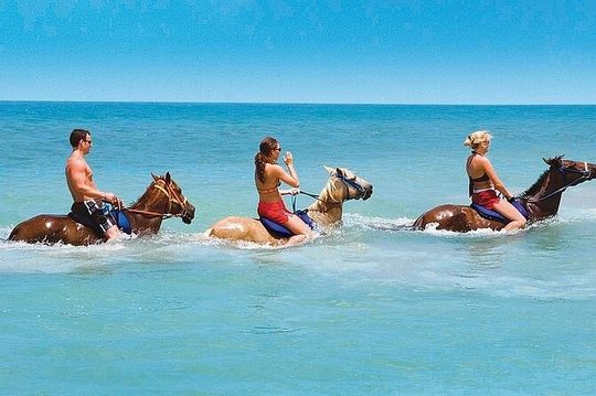 Horseback Ride and Swim Private Tour from Montego Bay