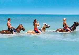 Horseback Ride and Swim Private Tour from Montego Bay