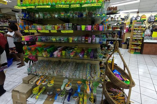 Montego Bay Highlight Tour & Shopping