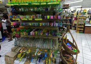 Montego Bay Highlight Tour & Shopping