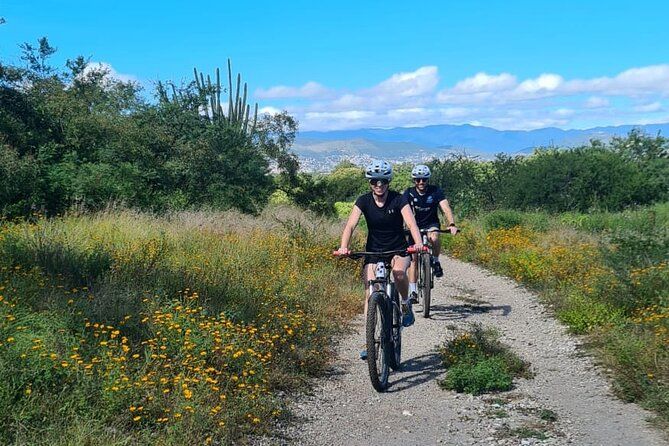Bike tour to the tule tree through the country side