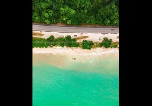 Pachies Seafood with Sightseeing & Transport from Montego Bay