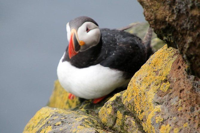 The Great Round Tour: Around Iceland in 13 Days - Small Group