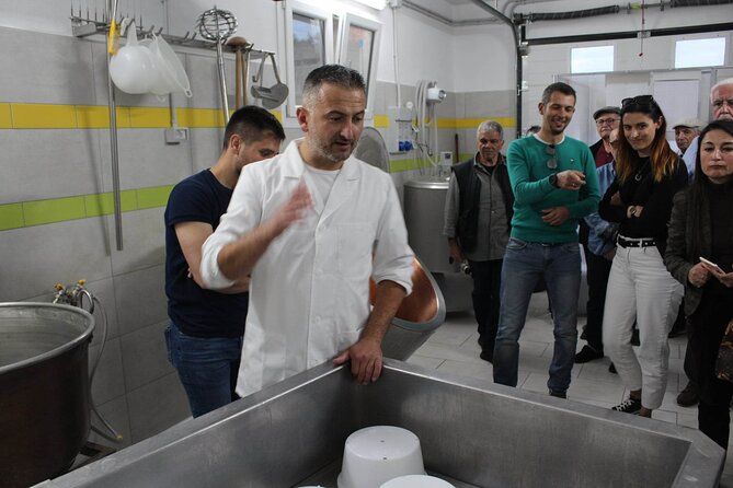 Raw Milk Cheese Tasting in the heart of Sardinia
