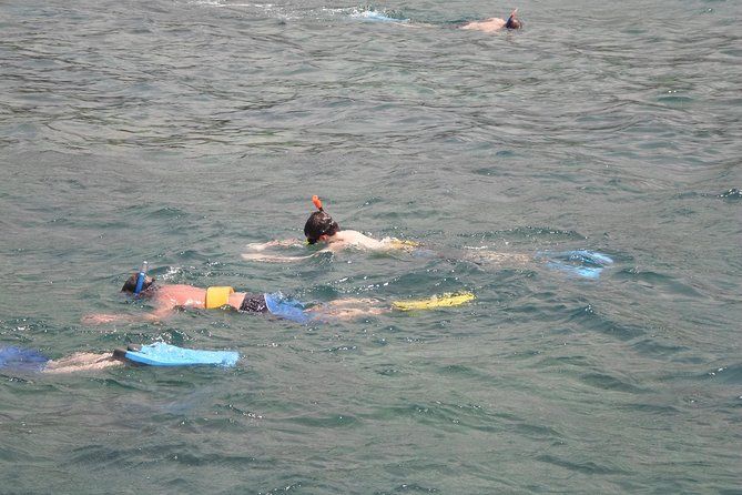 Montego Bay Shore Excursion: Private Snorkel Tour