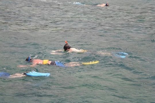 Montego Bay Shore Excursion: Private Snorkel Tour