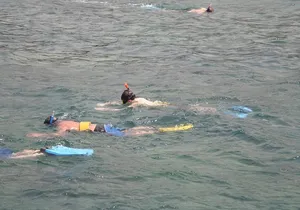 Montego Bay Shore Excursion: Private Snorkel Tour